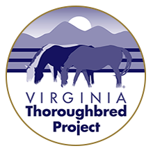 Virginia Thoroughbred Project Logo