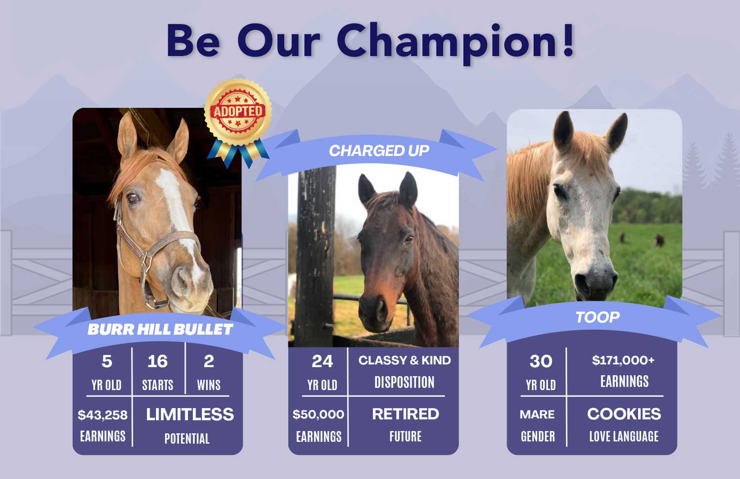 Virginia Thoroughbred Project Endowment Fund postcard featuring 3 retired racehorses declaring donors their champions, donations matched dollar for dollar until December 31, 2024.